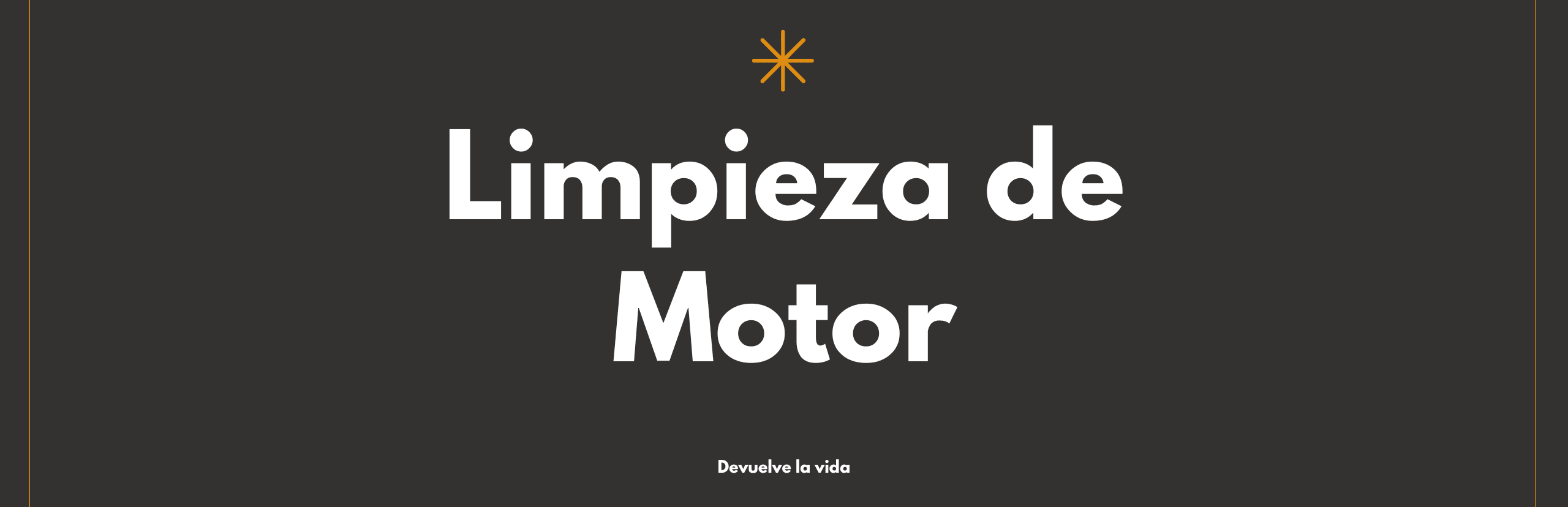 Limpieza de motor en Palma - Zamule Cars
