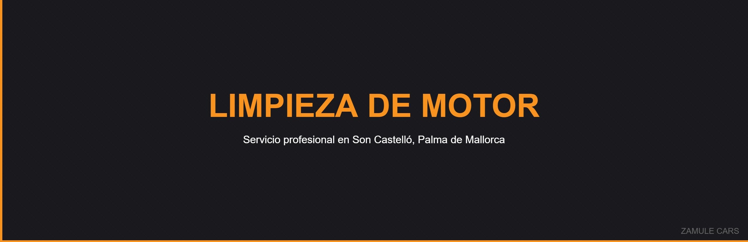 Limpieza de Motor - Zamule Cars