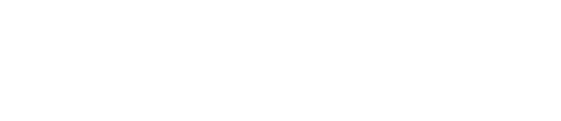 Zamule Cars