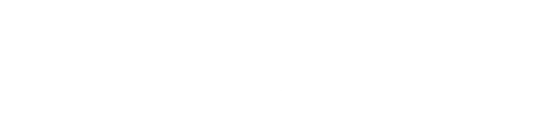 Zamule Cars